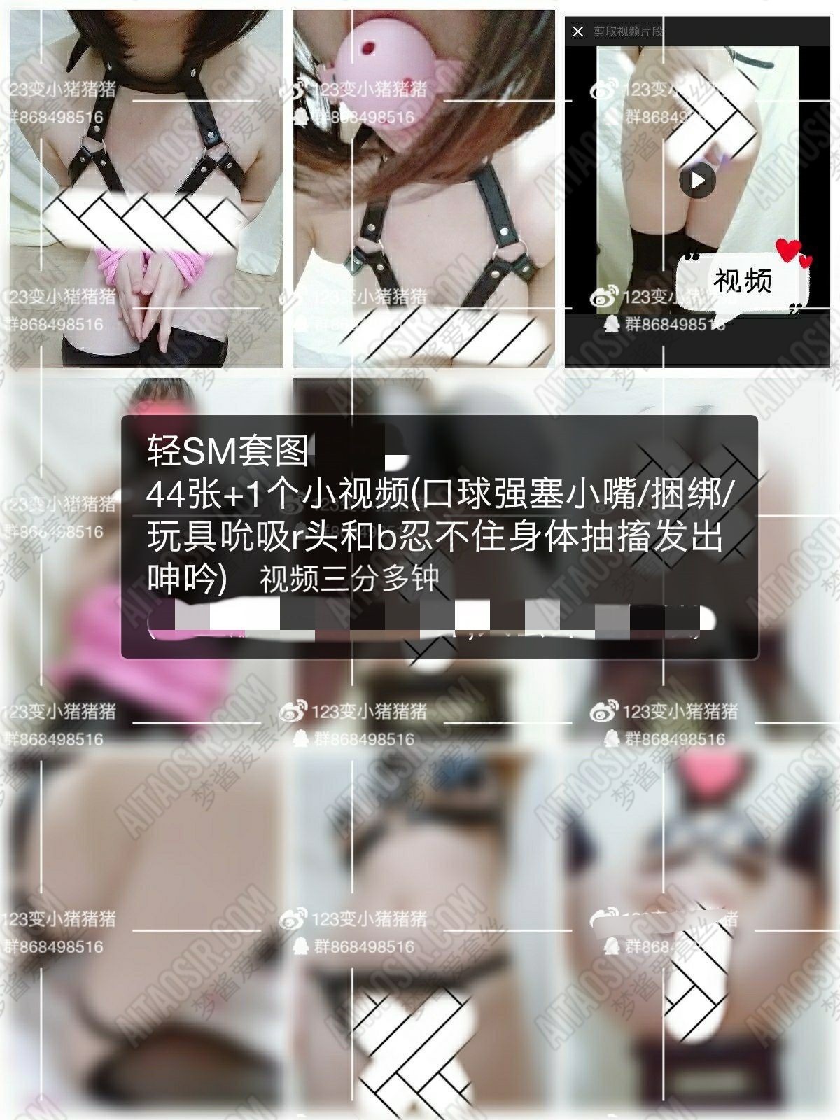 【大胸嫩妹推荐】[年费会员][视图]推特@微博美乳软妹子@123变小猪猪之售卖系列6套合集（276P+6V-1.17GB）插图2